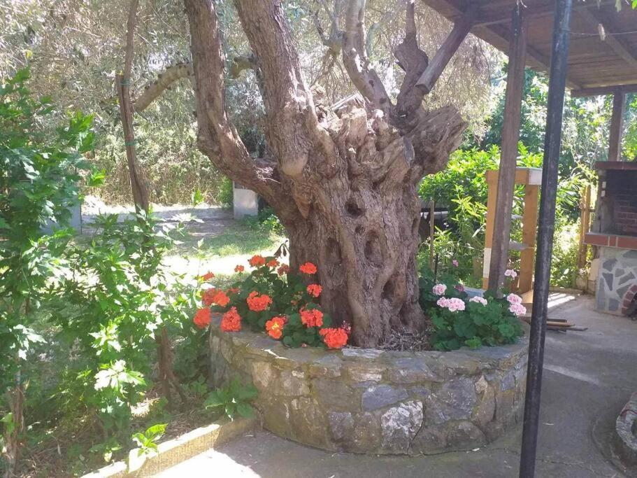 Zephyr Guest House Lefokastro Bagian luar foto